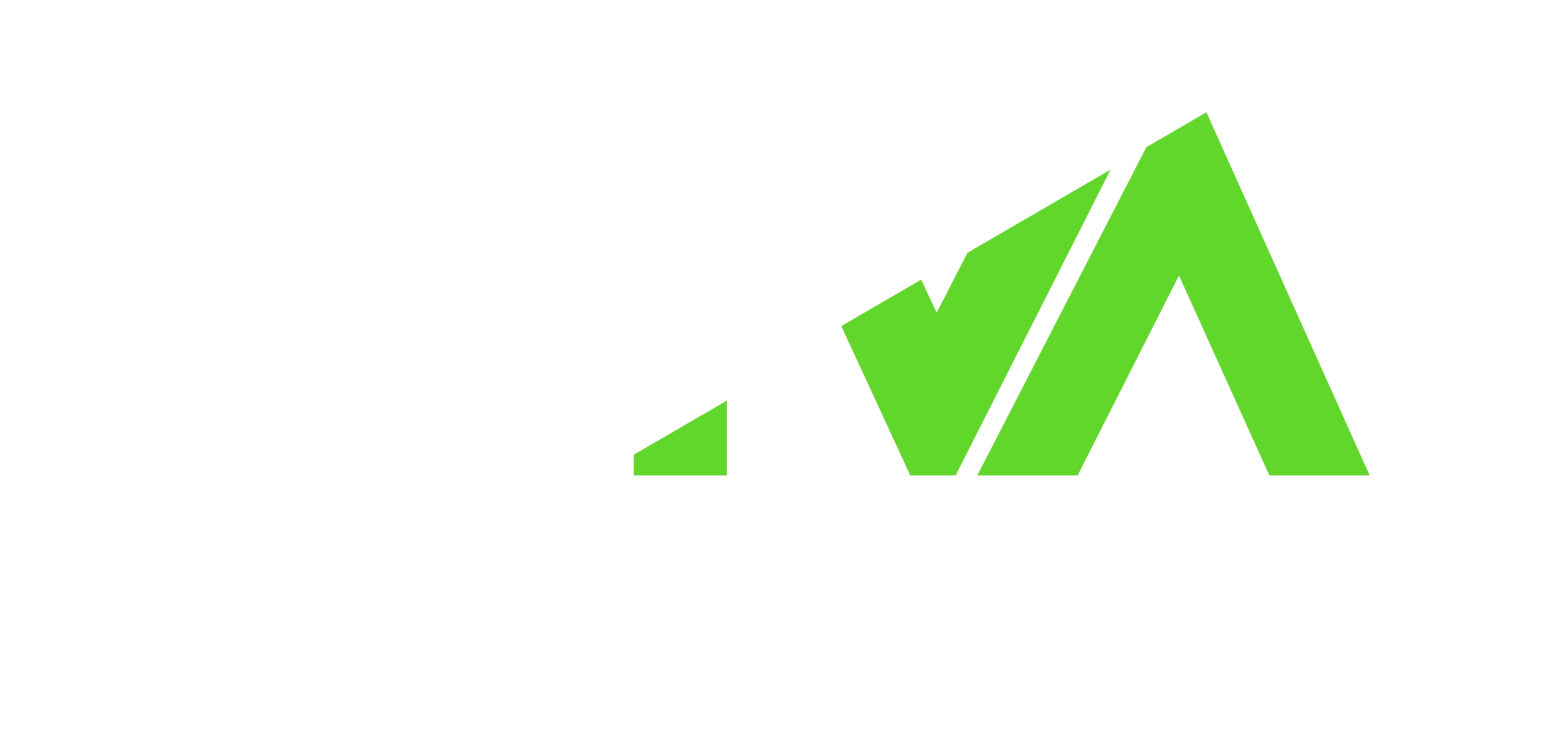 VIVA Wireless blanco