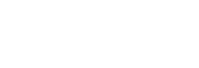 logo viva wireless-02